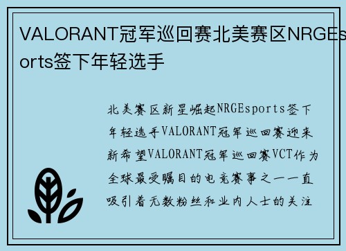 VALORANT冠军巡回赛北美赛区NRGEsports签下年轻选手